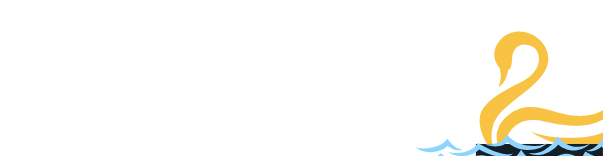 DreamSwan Logo